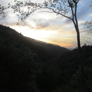 IMG_1956 - Cópia