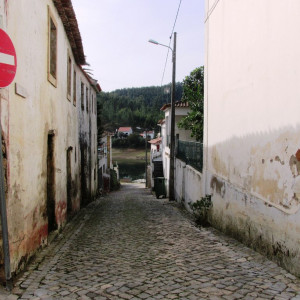 IMG_1646 - Cópia