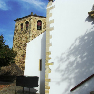 IMG_1650 - Cópia