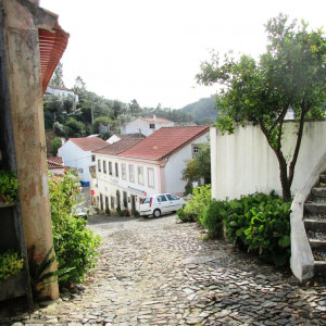 IMG_1677 - Cópia