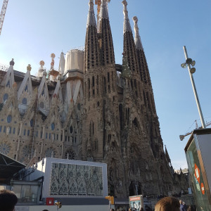 43