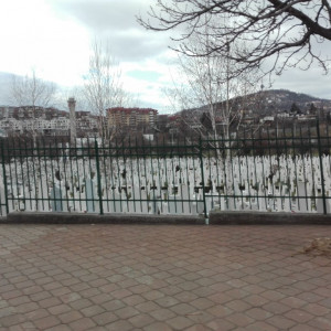 IMG_20161216_120356