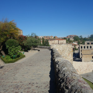 Salamanca 20