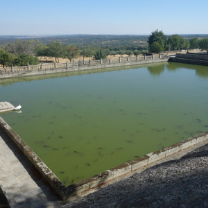 Escorial 5