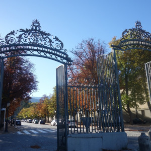 Granja 1