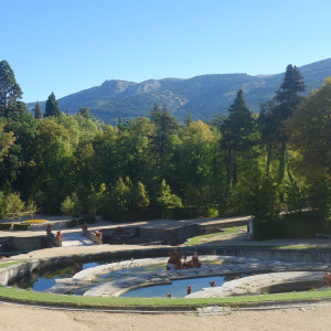 Granja 3
