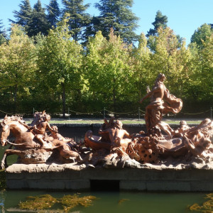 Granja 4