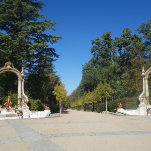 Granja 7