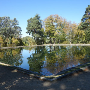 Granja 8
