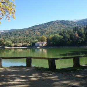 Granja 9