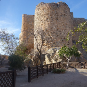 Consuegra 4