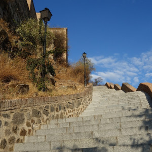 Toledo 6