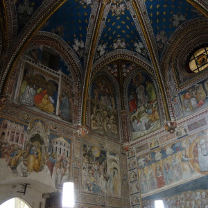 Toledo 11