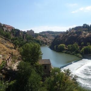 Toledo 19
