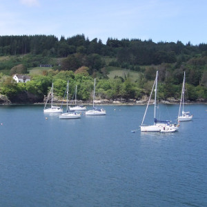61 - Skye