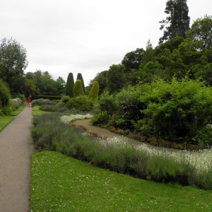 87 - Cawdor