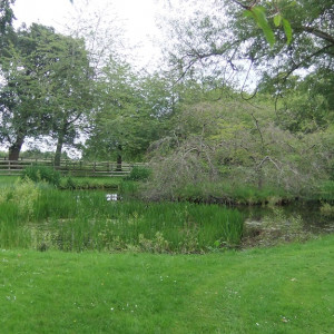 89 - Cawdor