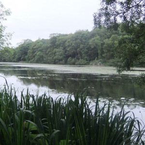 129 - Culzean