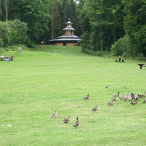 131 - Culzean