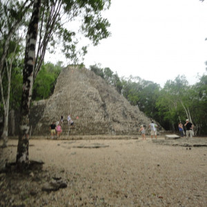 DSC02228