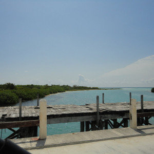 DSC02385