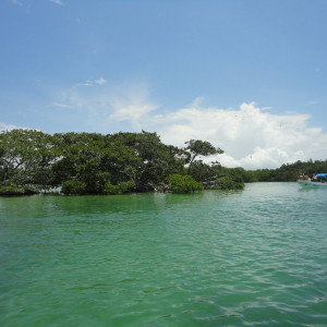 DSC02478
