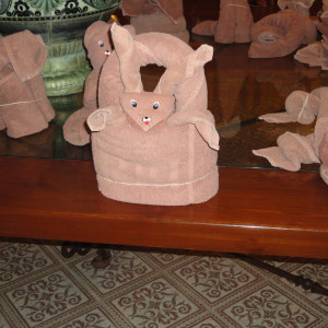 DSC02909