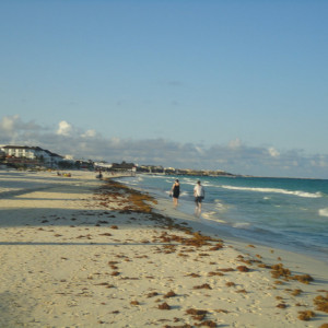 DSC03044