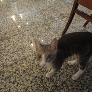 DSC00289