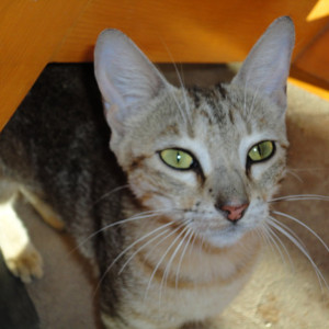 DSC00975