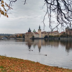 IMG_20161024_145823096_HDR