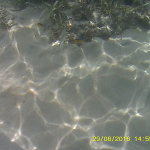 Fundo do mar