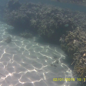 Fundo do mar