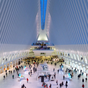New york - the Oculus