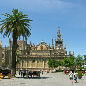 PICT0004