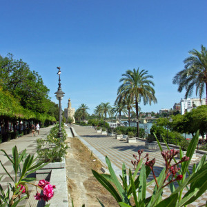 PICT0079