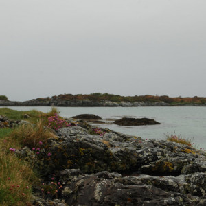 Morar