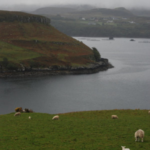 Ilha de Skye