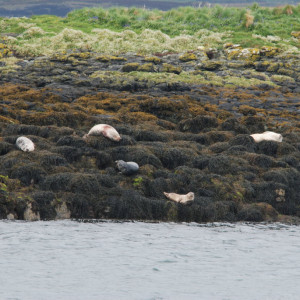Dunvegan