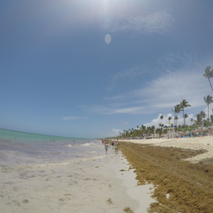 GOPR0363