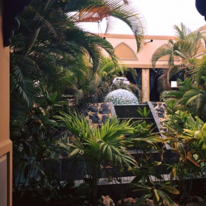 Untitled10