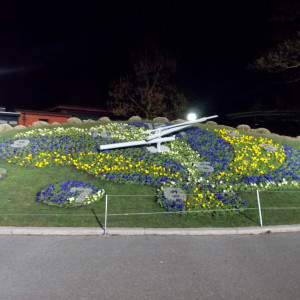 DSCN1270
