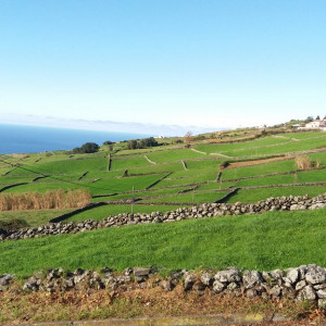 20161125_163653