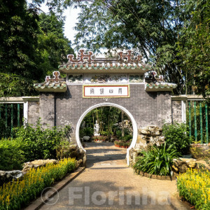China2016 (209)