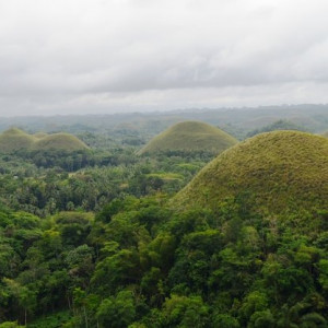 Chocolate Hills