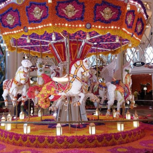 Wynn Taipa