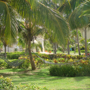 Cuba_paradisus_017