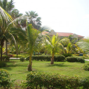 Cuba_paradisus_018