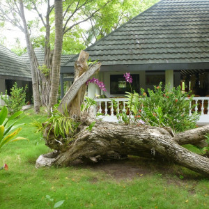 Holiday Island Resort