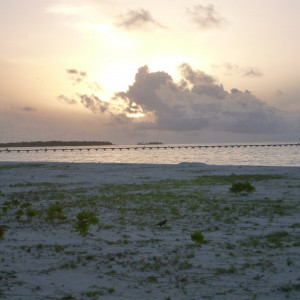 Holiday Island Resort